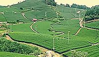 日本遺産「日本茶800年の歴史散歩」(平成27年度)(京都府)