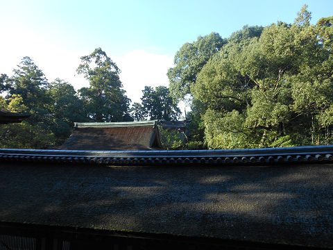 石上神宮の回廊、拝殿（国宝）の屋根越しに禁足地を望もうとする（雰囲気だけ） - ぶっちゃけ古事記