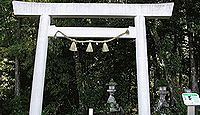 大森神社 三重県熊野市育生町尾川