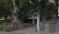 胸形神社　栃木県小山市寒川のキャプチャー