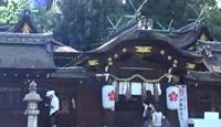 平野神社　京都府京都市北区のキャプチャー