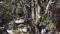 八幡神社 大阪府河内長野市天見