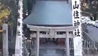 山住神社(浜松市) - 三方原の戦いで徳川家康が逃れ、助かったお犬さま信仰の式内社