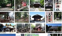 大井神社 茨城県水戸市飯富町の御朱印