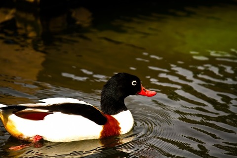 E0236576-5D4E-42E1-A240-59DBBD217233