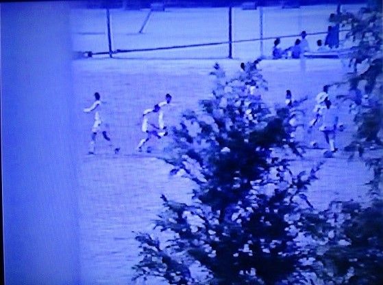 古典 古文 助動詞 まじ 打消推量 打消意志 現代語訳や意味