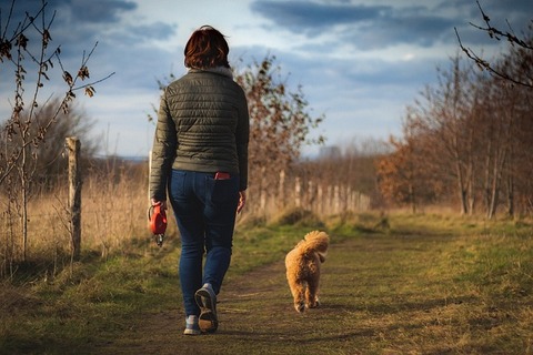 woman-7009477_640