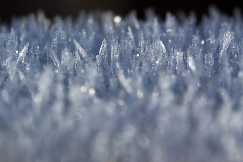 hoarfrost-1903886_640