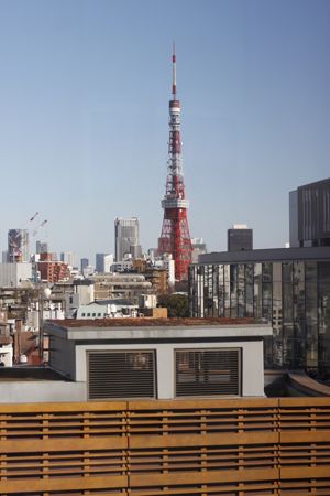イメージ 7