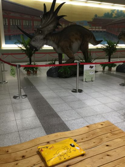 イメージ 14