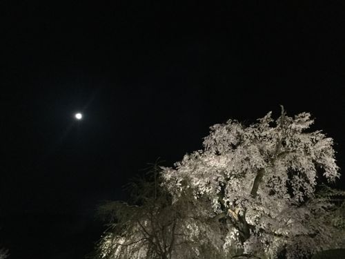 イメージ 23