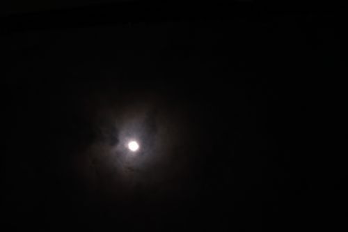 イメージ 21