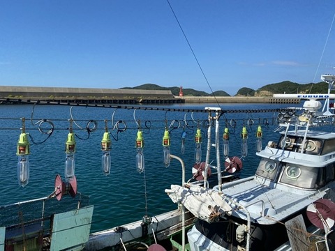 A1948AA6-42D4-46A2-AB6F-2D237D39606A