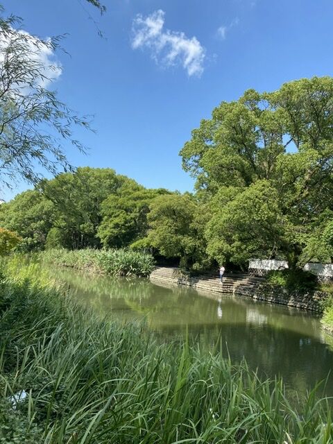 BD450266-2294-44A8-B188-585532A504CF