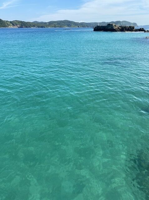 1AD1C25B-4230-40E1-84D6-8EEF3D63B340