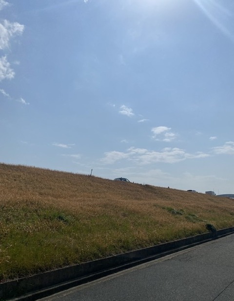 6C569130-4AC1-4D83-B3F0-64C1764E4529