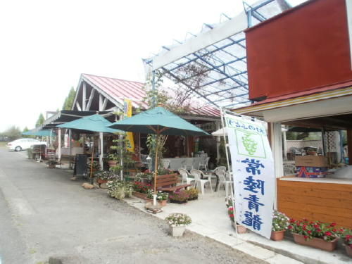 P8170043 (2)