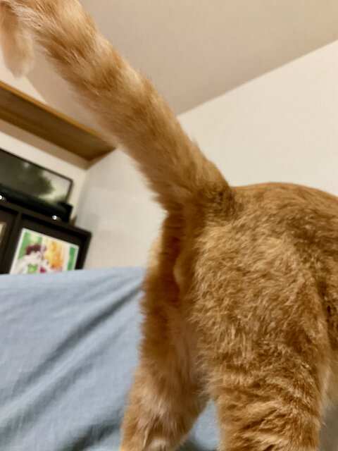 3637)ねえや、ヒヤリな月曜日。 : だいじろう日和。