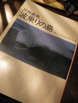 294cf8bd.jpg
