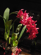 3f5a8182.jpg