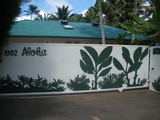 4e081b46.jpg