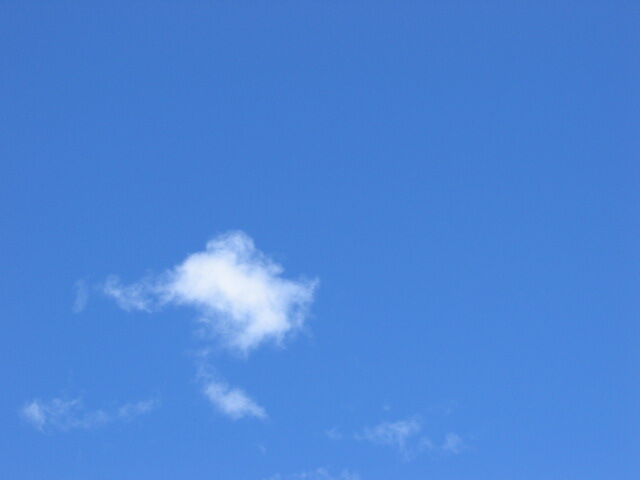 hawaii 2006 032