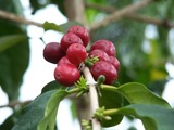 7df5a8b9.jpg