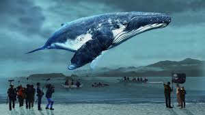 kujira
