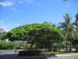 985aec36.jpg