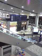 a56d4f09.jpg