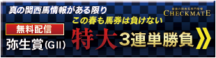 チェックメイト:弥生賞310-84