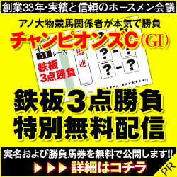ホースメン:チャンピオンズC250-250