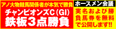 ホースメン:チャンピオンズC234_60