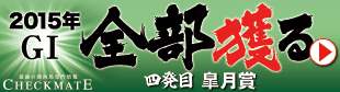 チェックメイト:皐月賞310-84