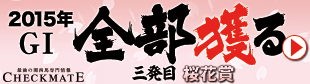 チェックメイト:桜花賞310-84