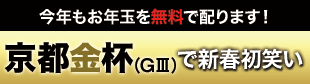 チェックメイト:京都記念310-84