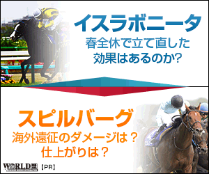 【修正】ワールド:毎日王冠300-250