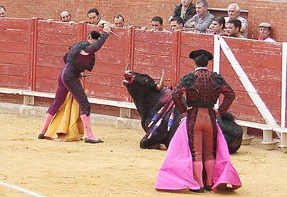 闘牛について 高橋冬樹ブログ 闘牛について 高橋冬樹ブログ