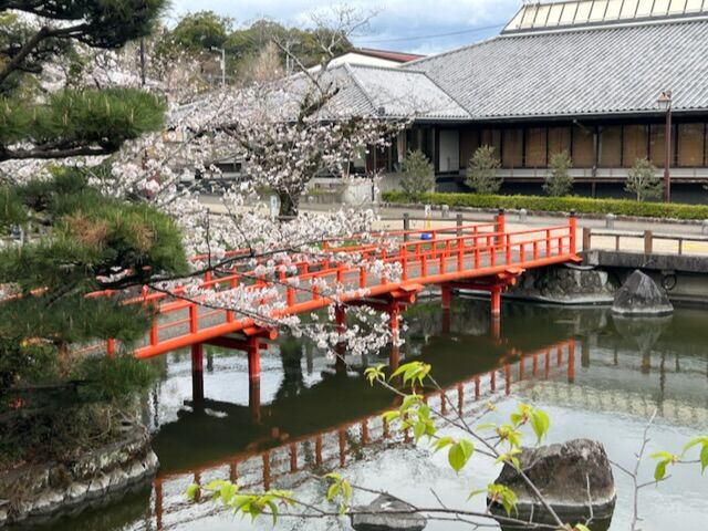 C7243089-199D-4779-94F6-7B6CCDBBACCC