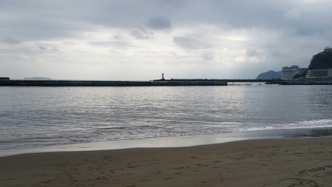 20200124_112251_edit_1753871419122