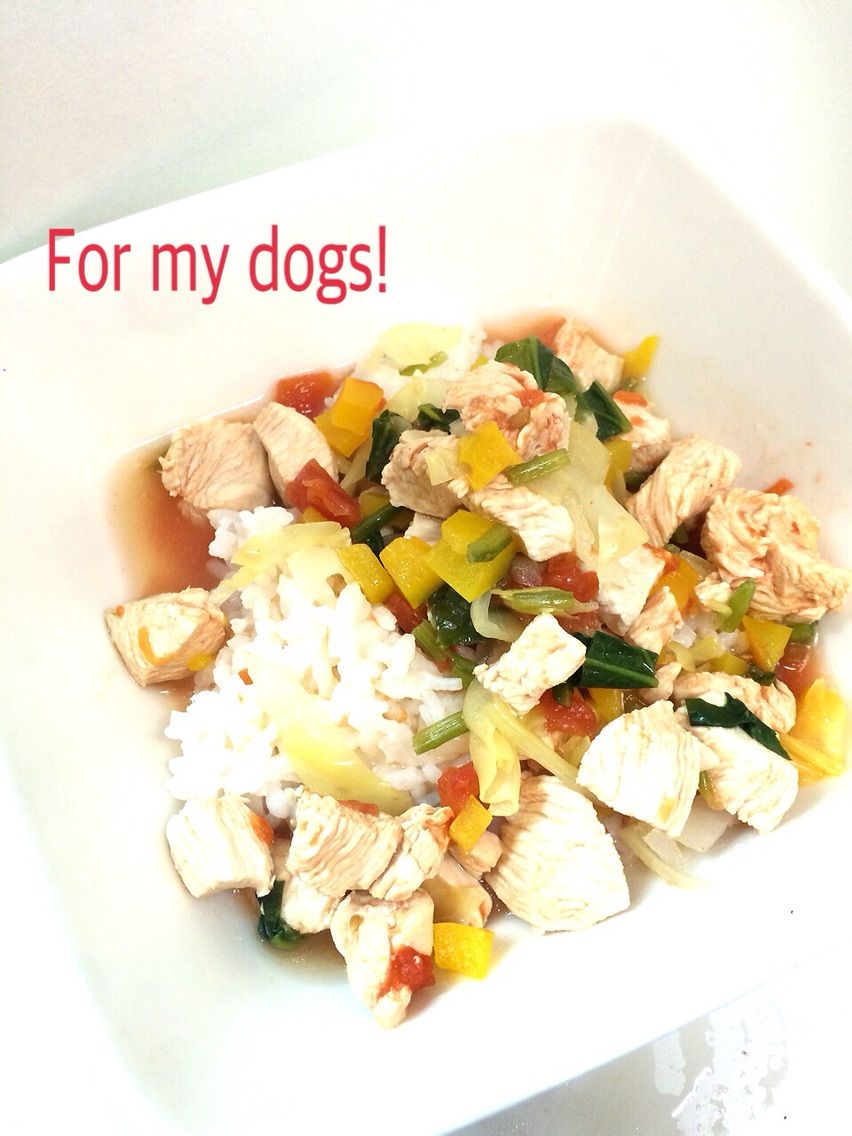 鶏胸肉とパプリカのトマトスープご飯 犬ご飯レシピ 犬の手作りごはん 今日のブヒメシ 鶏胸肉とパプリカのトマトスープご飯 犬ご飯レシピ 犬の手作りごはん 今日のブヒメシ
