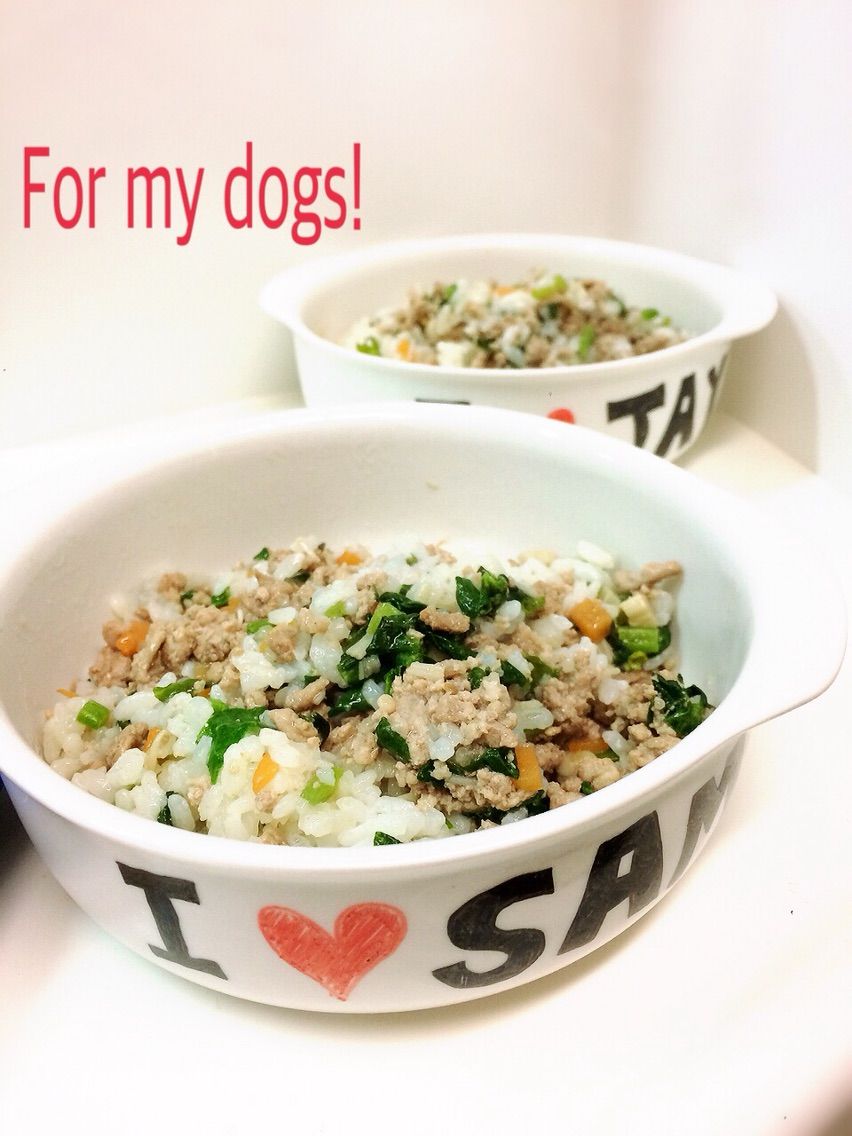 豚ひき肉チャーハン 犬ご飯レシピ 犬の手作りごはん 今日のブヒメシ 豚ひき肉チャーハン 犬ご飯レシピ 犬の手作りごはん 今日のブヒメシ