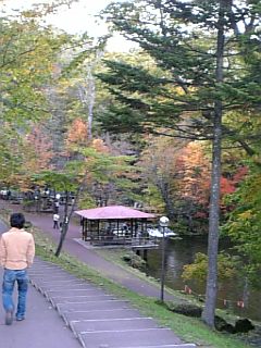 25589f68.jpg
