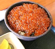 4b7e6952.jpg