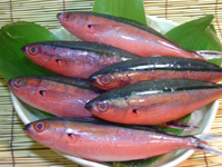 5a82f8fc.jpg