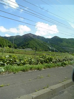 69850f79.jpg