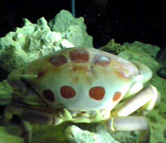 6d6479bf.jpg