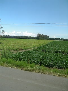 e3379879.jpg