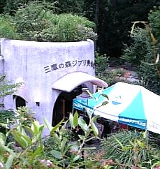 fa58cf85.jpg