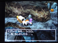 異変を訴えるビアンカ